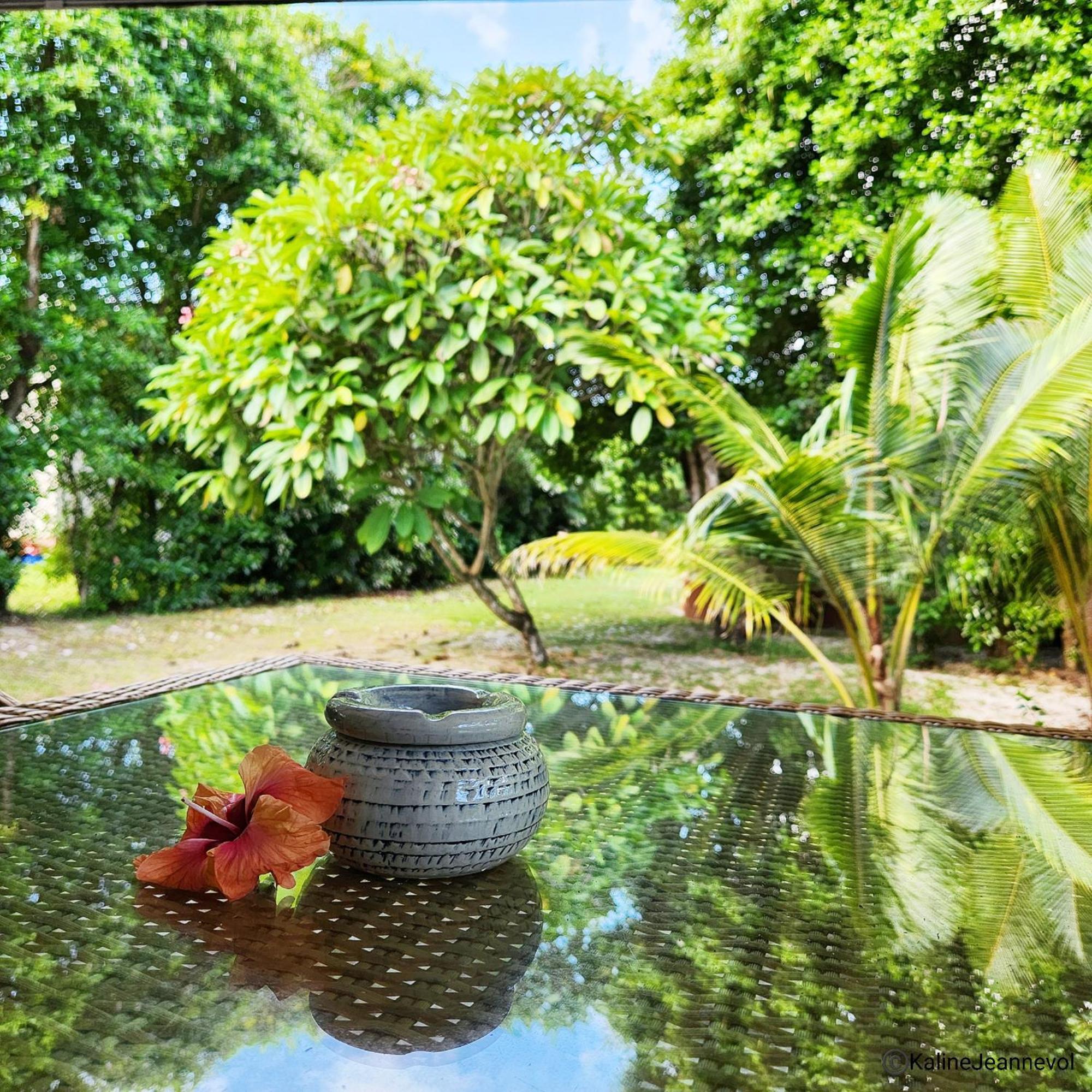 Surf Tropical Takamaka Villa Cerf Island
